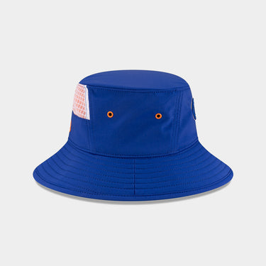 #colour_royal-blue