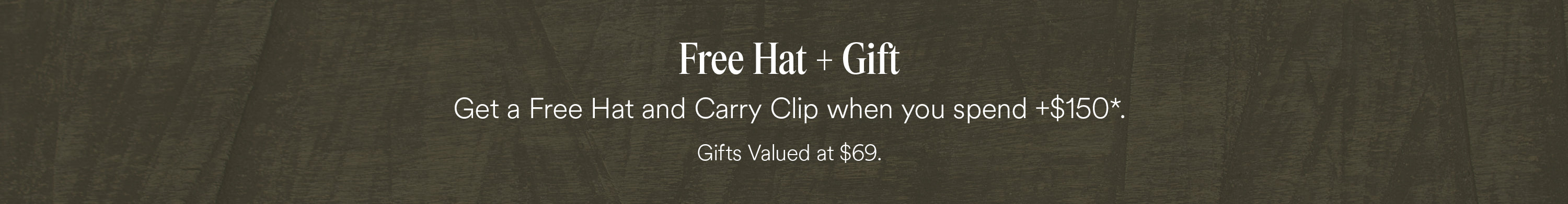EN---3000-x-392---Skinny-banner---Desktop--Carry-Clip