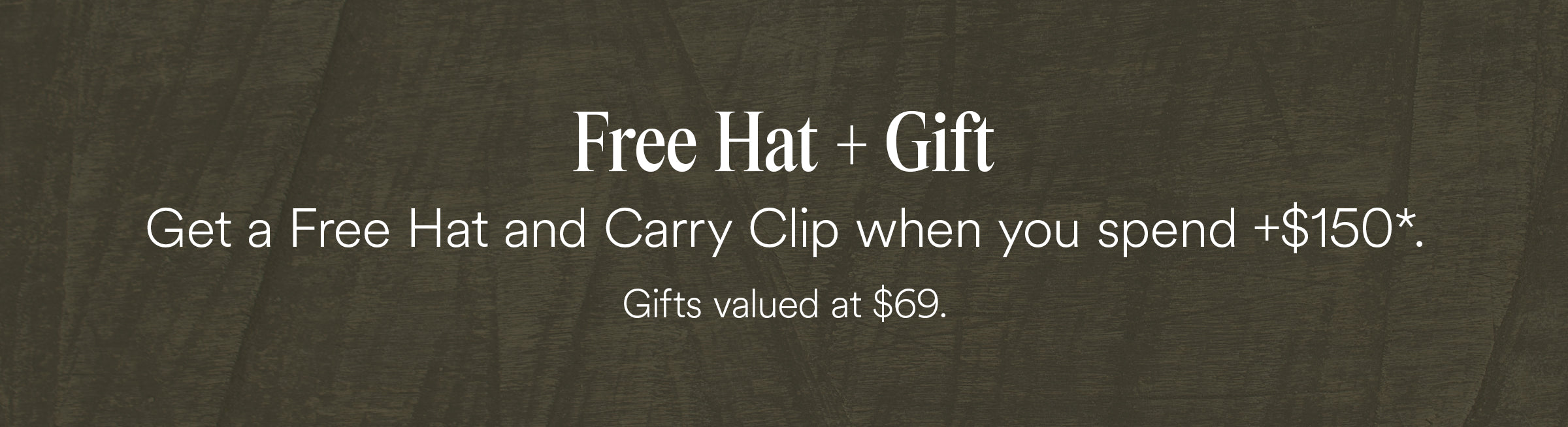 EN---Mobile---Skinny-banner-carry-clip