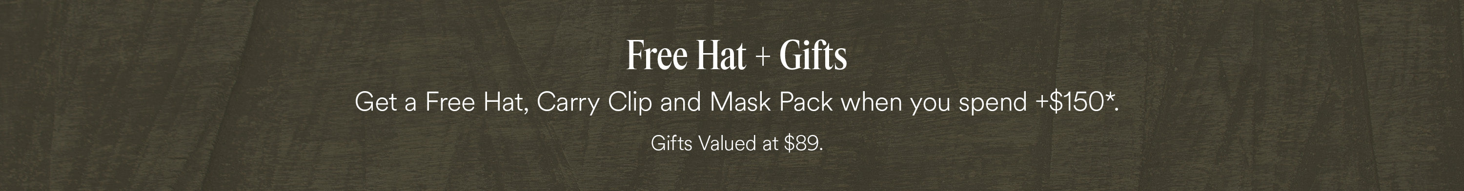 EN_-_3000_x_392_-_Skinny_banner_-_Desktop_-_Gift_Value_at_89