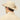 #colour_safari-tan