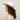 #colour_white-dark-tan