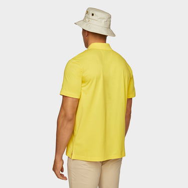 #colour_citrus-yellow