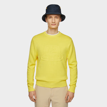 #colour_citrus-yellow