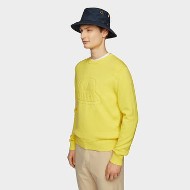 #colour_citrus-yellow