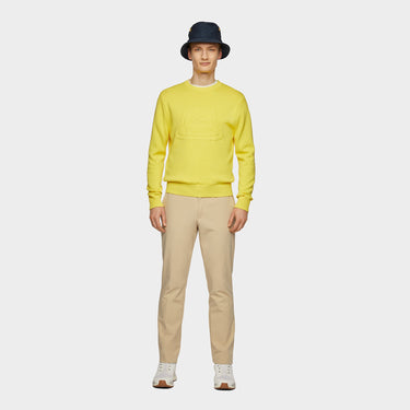 #colour_citrus-yellow