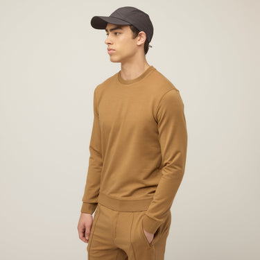 #colour_pecan-brown
