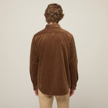 #colour_brown