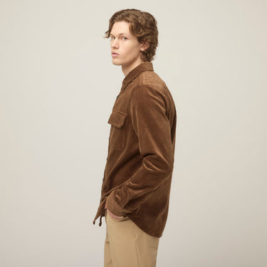 #colour_brown