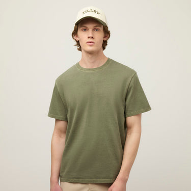 #colour_thyme-green