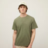#colour_thyme-green