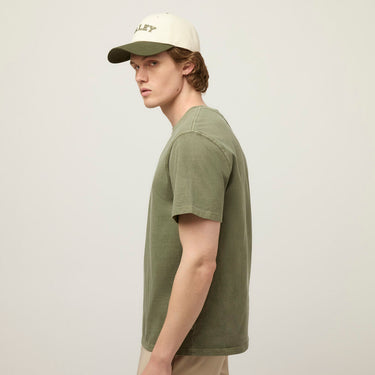 #colour_thyme-green