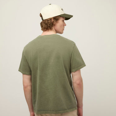 #colour_thyme-green