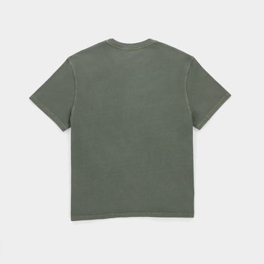 #colour_thyme-green