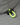 #colour_grey-green