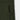 #colour_khaki-green