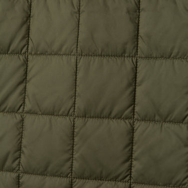 #colour_khaki-green