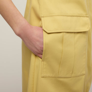 #colour_lemongrass