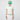 #colour_white-green-stripe