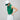 #colour_green-white