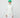 #colour_white-sport-green
