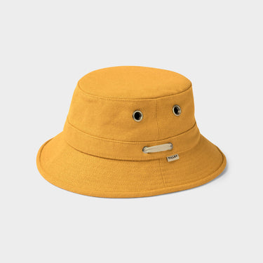 #colour_golden-yellow