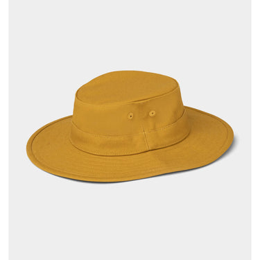 #colour_gold
