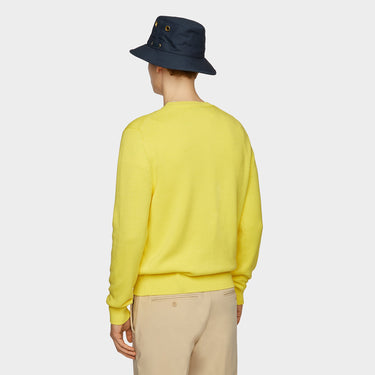 #colour_citrus-yellow