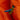 #colour_camel-orange