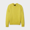 #colour_citrus-yellow