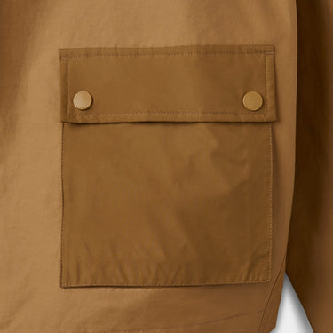 #colour_dark-tan