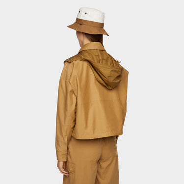#colour_dark-tan